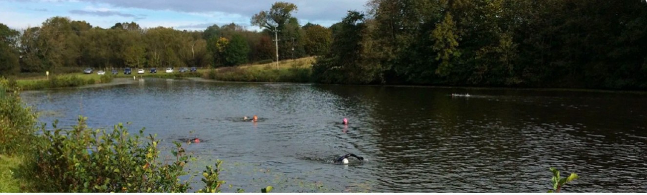 lake swim